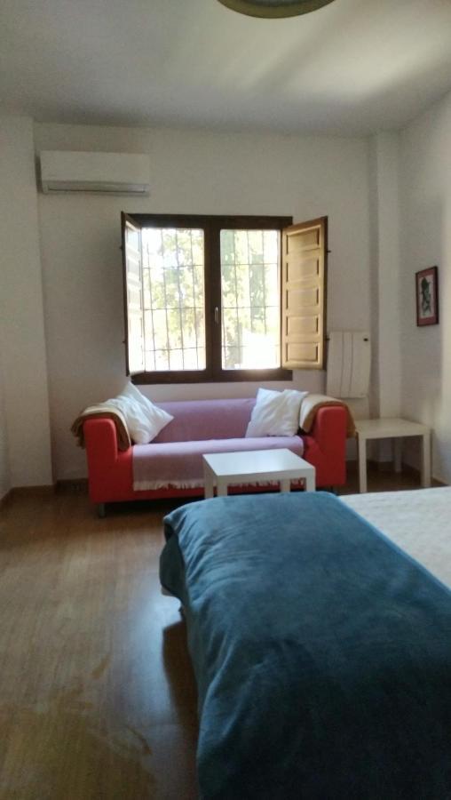 Appartement Estudio En Albaicin 1a,